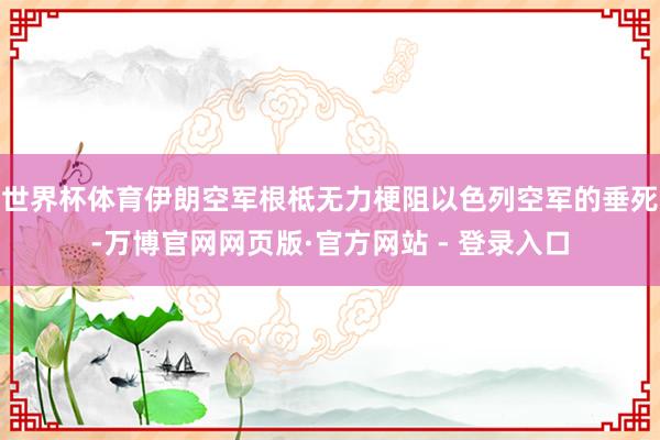 世界杯体育伊朗空军根柢无力梗阻以色列空军的垂死-万博官网网页版·官方网站 - 登录入口